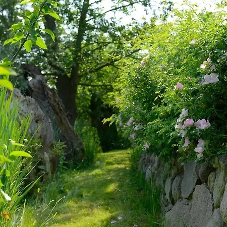 Wildrose