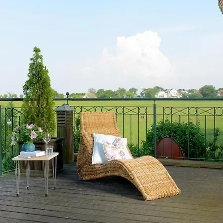 Wildrose * Boltenhagen (Ostseebad)